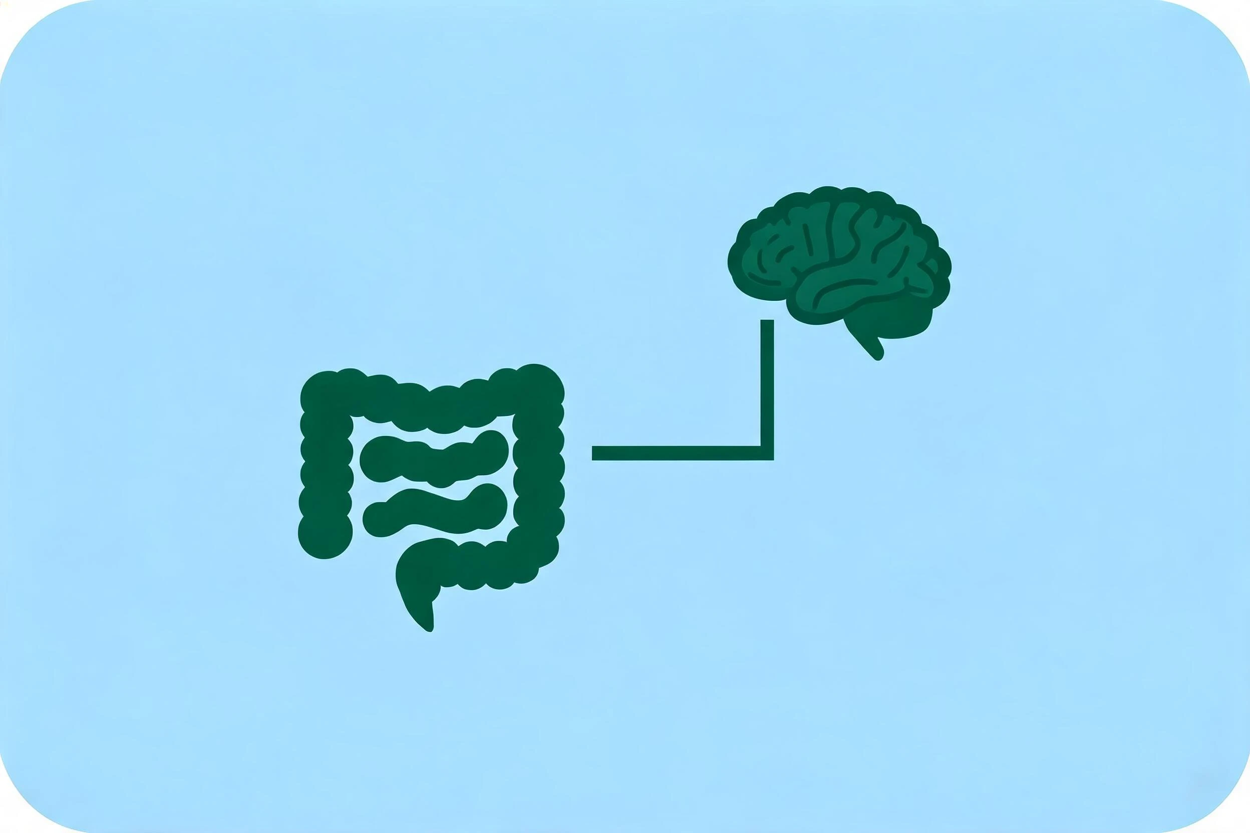 Illustration CBD et intestin irritable — schéma axe intestin-cerveau et molécule cannabidiol — guide scientifique 2026