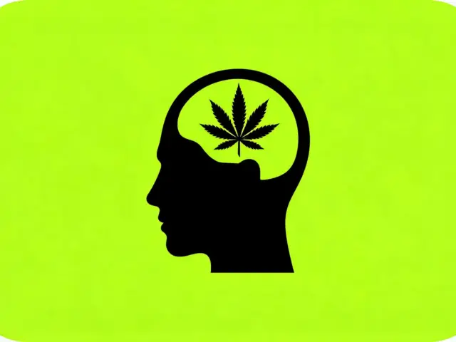 CBD et migraine : ce que disent les études 2026