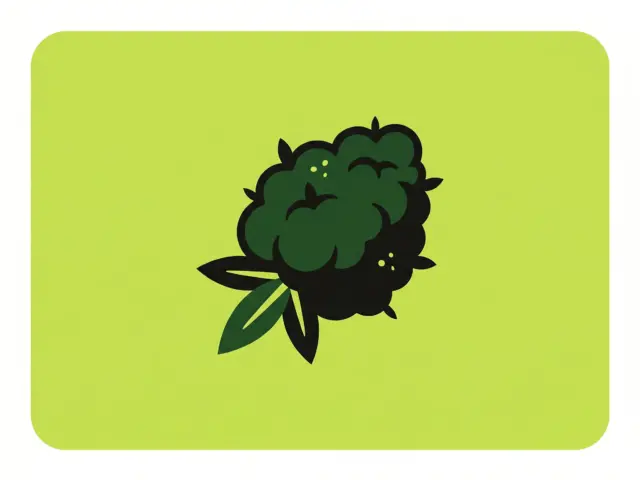Fleurs de CBD : guide d&rsquo;achat, qualité et prix (2026)