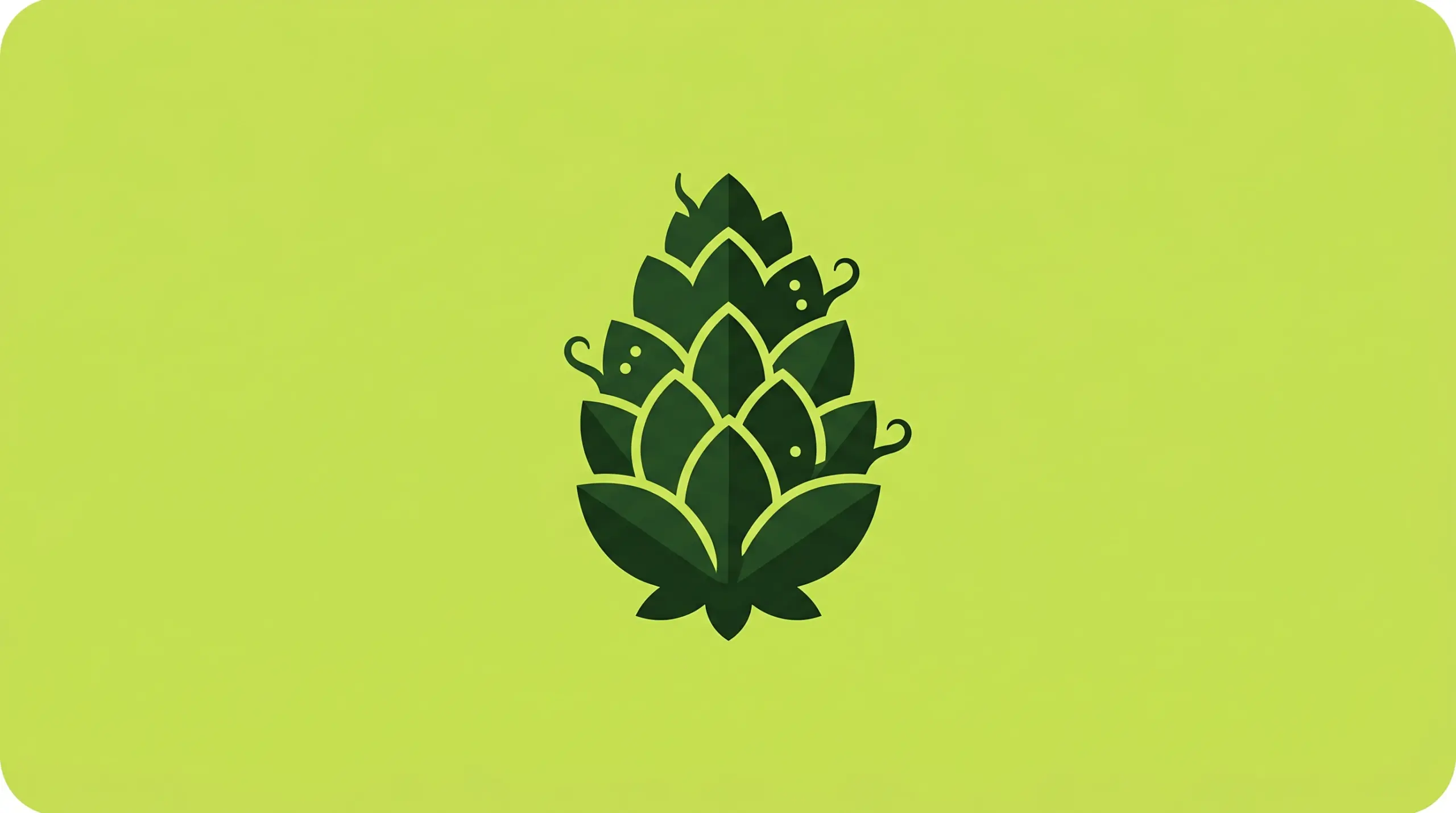 Fleur de Gorilla Glue CBD — têtes compactes et résineuses, chanvre légal à moins de 0,3 % de THC
