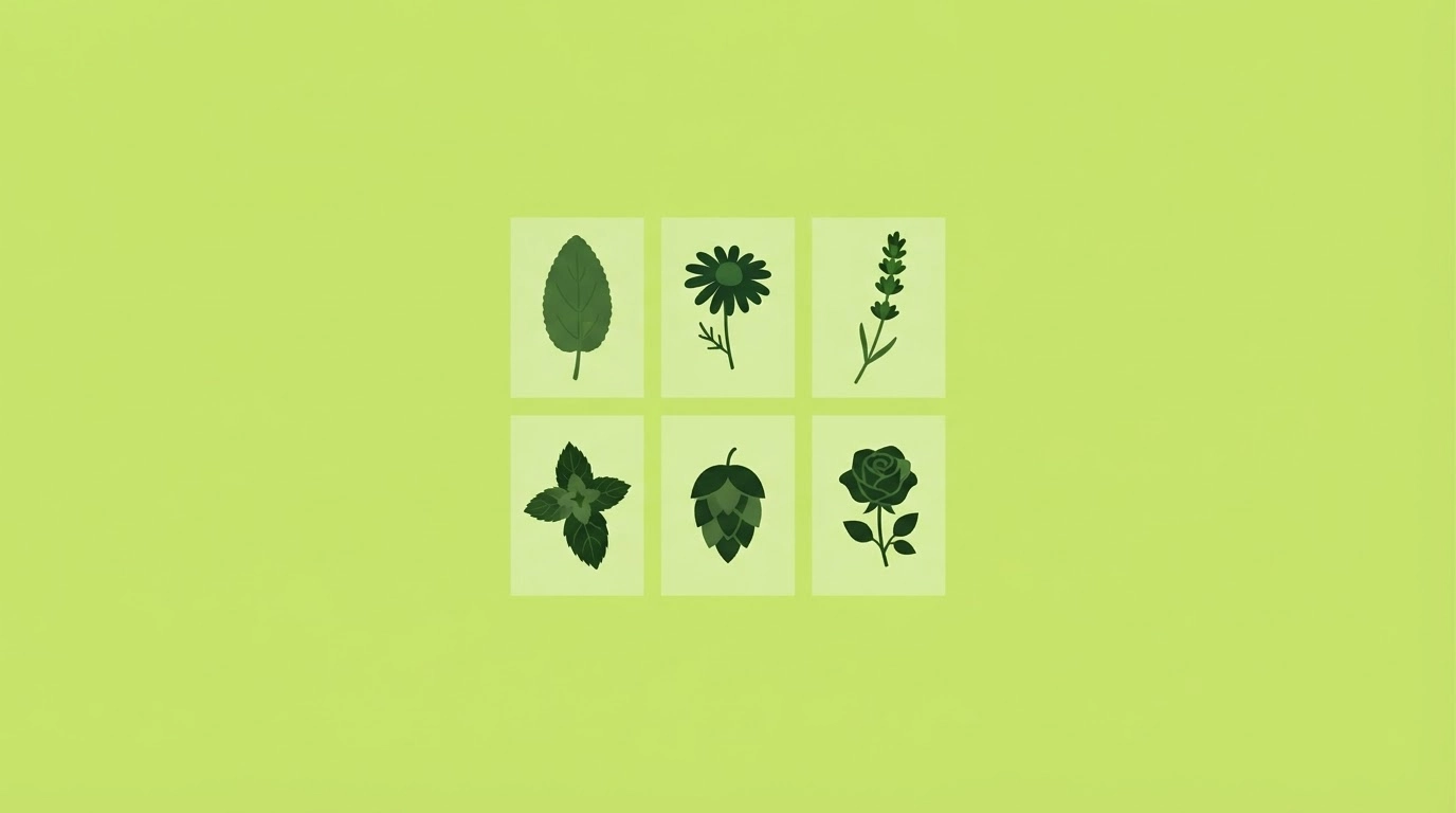 Glossaire des plantes à fumer sans tabac — molène, damiana, camomille, menthe, lavande